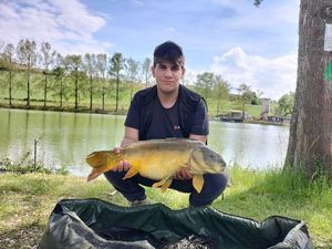 Mirror Carp