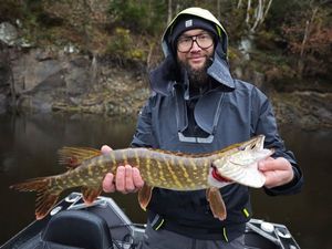 Northern Pike