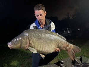 Mirror Carp