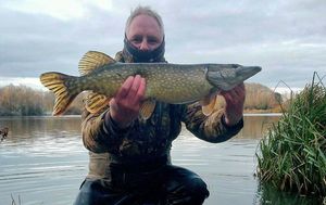 Northern Pike