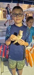 European Bass (Seabass)