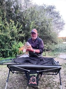 Mirror Carp