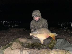 Mirror Carp