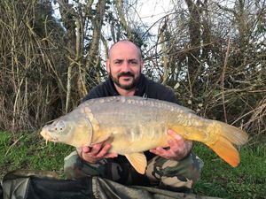 Mirror Carp