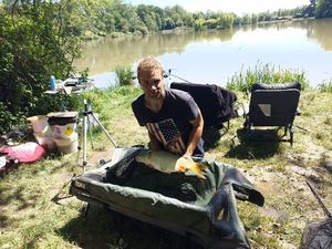 Common Carp