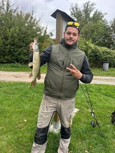 Northern Pike