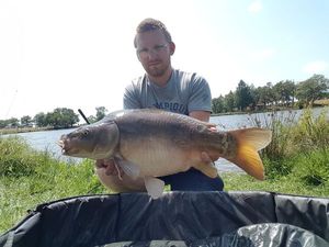 Mirror Carp