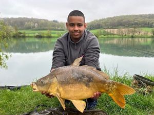 Mirror Carp