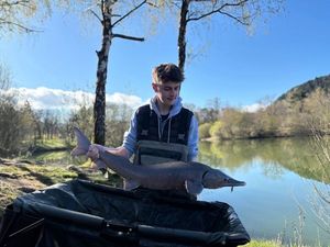 Sturgeon