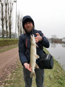 Northern Pike