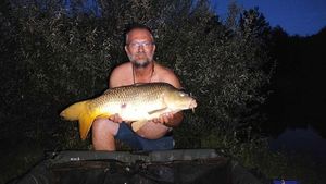 Common Carp