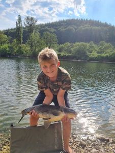 Common Carp