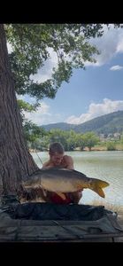 Mirror Carp