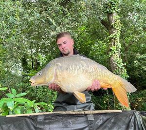 Mirror Carp