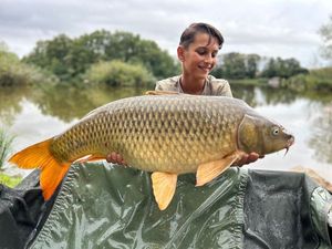 Common Carp