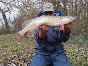 Northern Pike