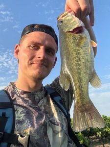 Largemouth Bass