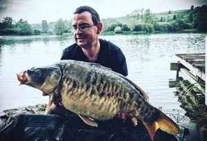 Mirror Carp