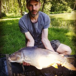 Mirror Carp