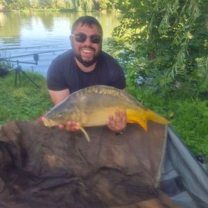 Mirror Carp