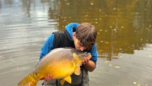 Mirror Carp