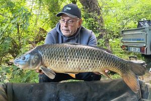 Common Carp