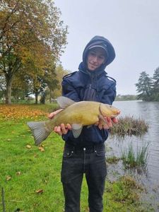 Tench