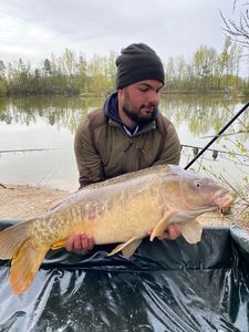Mirror Carp