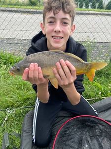 Mirror Carp
