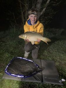 Mirror Carp