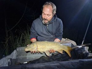Common Carp