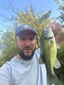 Smallmouth Bass
