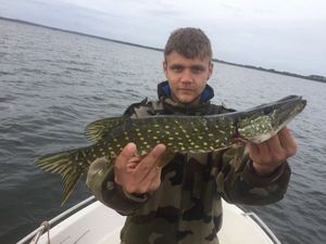 Northern Pike