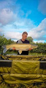Grass Carp