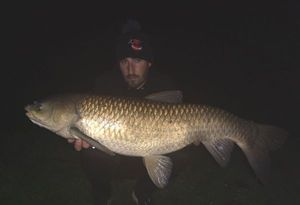 Grass Carp