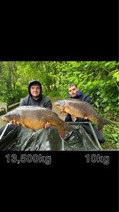 Mirror Carp