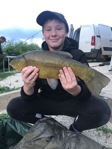 Tench