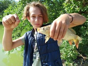 Common Carp