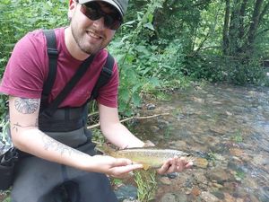 Brown Trout