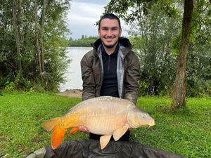 Mirror Carp