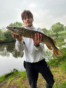 Northern Pike