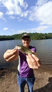 Largemouth Bass