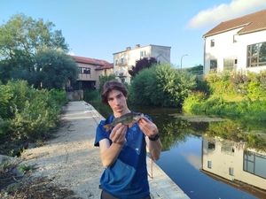 European Perch