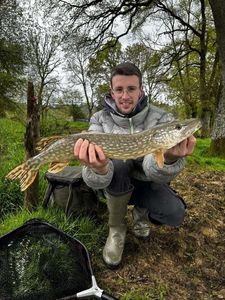 Northern Pike