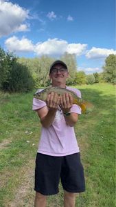 Mirror Carp