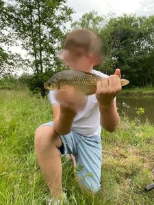 Crucian Carp