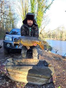 Mirror Carp