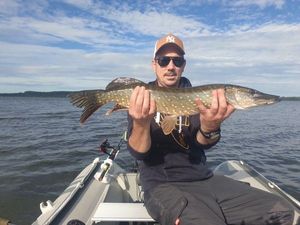 Northern Pike