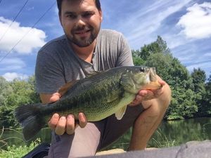 Largemouth Bass