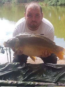 Mirror Carp